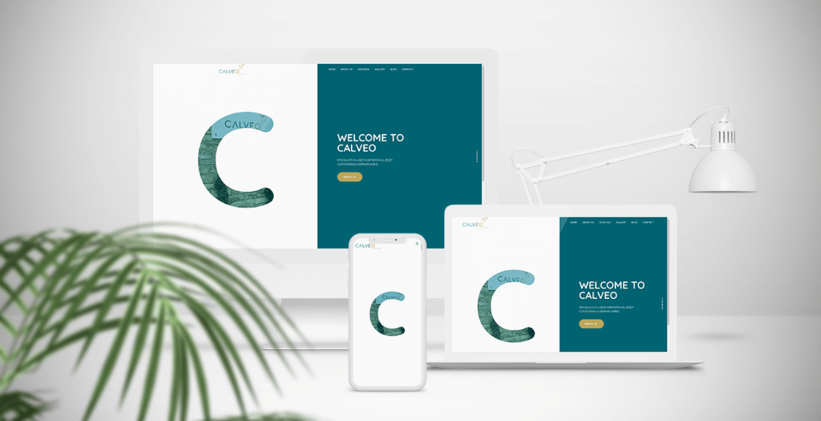 CALVEO website design mock-up